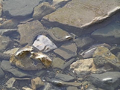 Чудеса природы-3