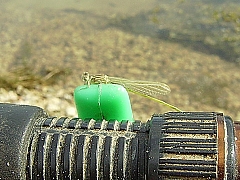 Чудеса природы-2