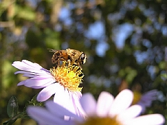 Чудеса природы-2