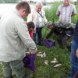 Чемпионат Дубово-2-81...