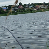 Чемпионат Дубово-2-61...