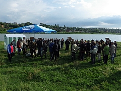 Чемпионат Дубово-2