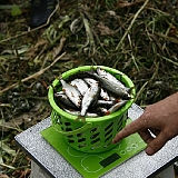 Хмельницкий фидер 2014-27...