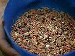 Хмельницкий фидер 2014-24