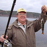 Окунь на сбирулино (бомбард...