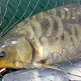 наши уловы-24