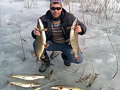 Зубатые на жерлицы