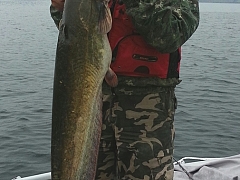 С днём рыбака!