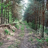 Пыжовка, дачи-4