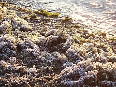 пейзажи Днестра-15