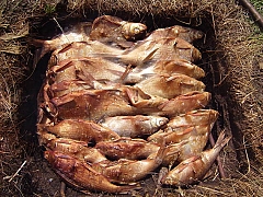 походная кухня (фоторецепты)-10