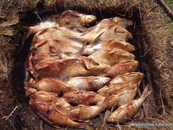 походная кухня (фоторецепты)-10