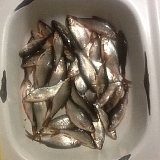 Хмельницкий Южный Буг 25.01...