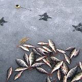 Секретные лунки системы 