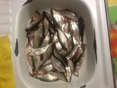 Хмельницкий Южный Буг 25.01.2023