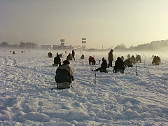 окуні і йоржики-3